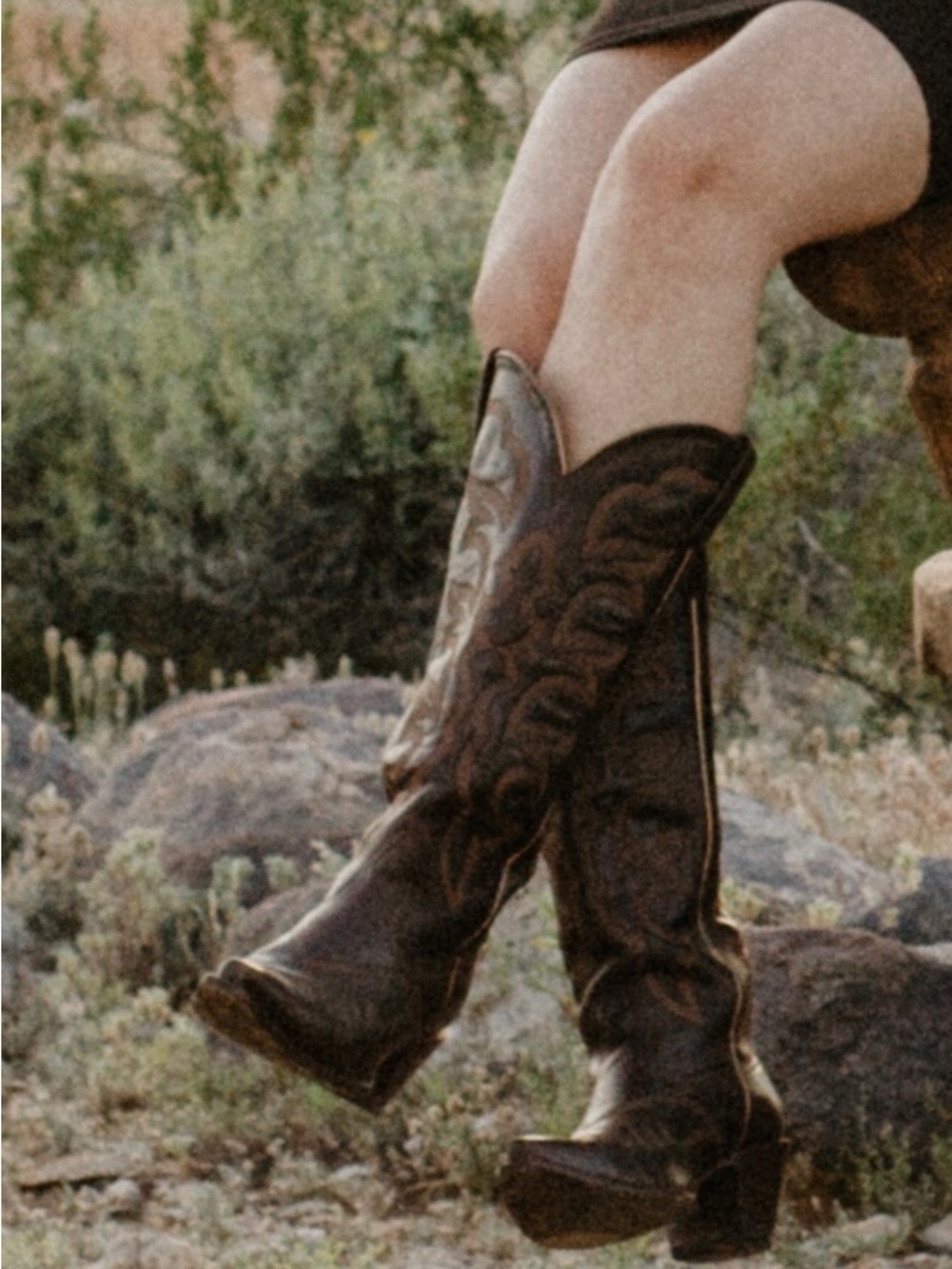 Shyanne Western Embroidered Brown Leather Cowboy Boots